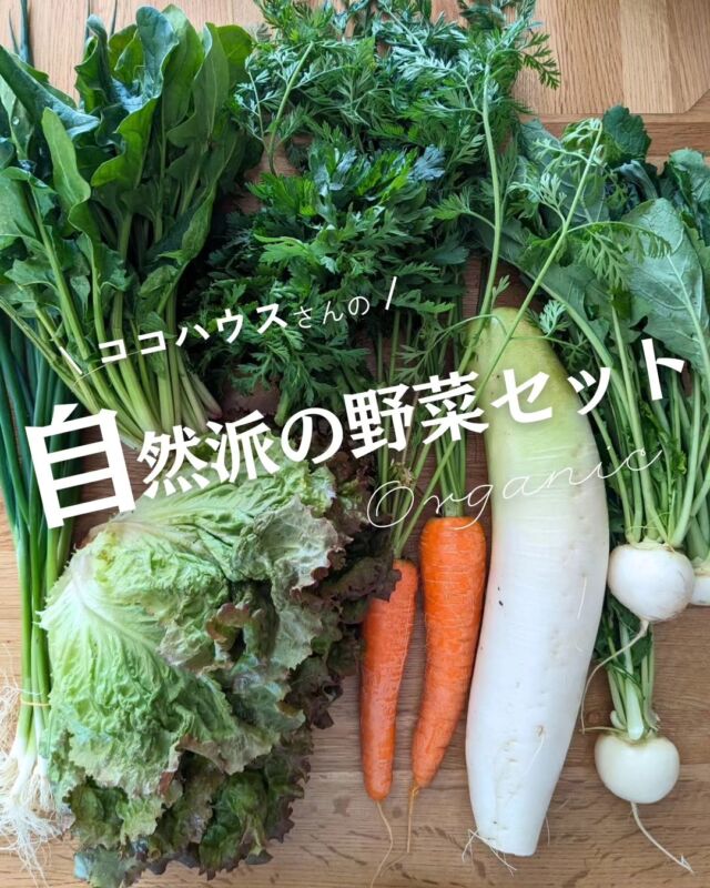 🍅＼自然派の野菜セット ／

「有機野菜を日常に 」
神戸市西区・明石市で年に約43種類の有機野菜を作る、
ココハウス さんの有機野菜セット。

・有機大根
・有機人参
・有機コカブ
・有機ホウレンソウ
・有機キクナ
・有機レタス
・有機ネギ

3/22(金)三宮・kiitoで行われる“産直のおまつり”に、
ココハウスさんも参加されます。
ぜひ会いに行って、野菜を食べて、
お話ししてみてくださいね！

有機野菜を日常に
いただきます☆

−−−−−−−−−−−−−−−−−−−−−−−−−−−−−−−−−−−−

コープ自然派兵庫
組合員理事より発信中✈
選ぶもので社会は変わる
選ぶことで未来を変えよう
@coop.shizenha.hyogo

−−−−−−−−−−−−−−−−−−−−−−−−−−−−−−−−−−−−

#ココハウス
#自然派の野菜セット 
#野菜セット 
#地産地消 
#生産者さんに感謝 
#オーガニックな暮らし #無農薬 #遺伝子組み換えでない  #自然を守る #国産オーガニック #ネオニコフリー#生協 #コープ自然派 #コープ自然派兵庫 #コープ自然派のあるくらし #生協宅配