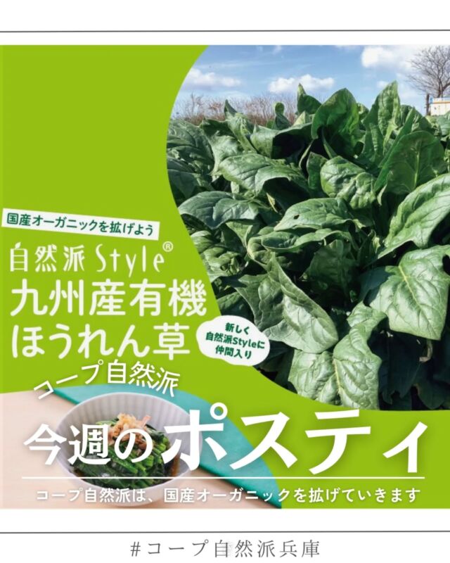 🍅@coop.shizenha.hyogo
ポスティ9号
●表紙と特集●
コープ自然派では国産有機原料の生産拡大および、それらを使用した加工品の開発に力を入れています。
その取組の一環として、1年前に誕生した「九州産有機ほうれん草」が、このたび「自然派Style国産オーガニック」シリーズに新たに加わることになりました。
これからもコープ自然派は、「誰もが有機農産物を食べることができる社会」をめざし、取組を拡げていきます。

▷【季節の手しごとして写真を投稿しよう】
　➡梅だけじゃない！コープ自然派の商品を使って、
　　手しごと写真を投稿しよう！6/2START
▷【夏ギフト】
　➡日頃の感謝を込めて贈る夏のご挨拶、
　　コープ自然派のこだわりが詰まった、
　　安心のギフトを選んでみませんか？
▷【ハートキャンペーン】
　➡寝具もオーガニックってあるんです！
　　心地良い寝心地、めぐるで試せます♪
　　
＊商品案内・ポリ袋・食材セットトレイの回収に
ご協力をお願いします＊
コープ自然派では資源循環と廃棄物の削減のため、
商品案内(カタログ)や容器・包装を回収しています。

 −−−−−−−−−−−−−−−−−−−−−−−−−−−−−−−−−−−−

コープ自然派兵庫
組合員より発信中✈
選ぶもので社会は変わる
選ぶことで未来を変えよう
@coop.shizenha.hyogo

−−−−−−−−−−−−−−−−−−−−−−−−−−−−−−−−−−−−

#ポスティ 9号
#有機ほうれん草
#誰もがオーガニックを食べられる社会に
#自然派Style
#新商品紹介
#生協 #コープ自然派 #コープ自然派兵庫 #コープ自然派のあるくらし #生協宅配 #生産者さんに感謝 #オーガニックな暮らし #無農薬 #遺伝子組み換えでない  #自然を守る #国産オーガニック #ネオニコフリー #エシカルライフ #選ぶ