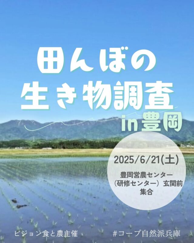 🍅@coop.shizenha.hyogo
イベント＼田んぼの生き物調査in豊岡／

▶日時: 2025年6月21日（土） 11:00～12:30
▶場所: 豊岡市JAたじま2階ホール
 (集合：豊岡営農センター玄関前）
▶内容: 田んぼの生き物調査を通じて環境保護を学ぶ
　田植え後の田んぼに生息するヤゴ、ゲンゴロウや、
　空を舞うコウノトリなどを観察
▶講師: 山崎俊彦さん（全農ビジネスサポート）
▶参加費:組合員: 大人200円、子ども200円（3歳～）
　　　　一般: 大人300円、子ども300円（3歳～）
▶定員: 50名
▶持ち物: 長靴、虫取り網、飲み物、
　　　　　汚れても良い服装、着替えなど
▶申し込み方法: 電話またはメール　　　　　　　
　　　　　📧event18@shizenha.co.jp
▷申込締切: 6月13日（金）

 −−−−−−−−−−−−−−−−−−−−−−−−−−−−−−−−−−−−

コープ自然派兵庫
組合員より発信中✈
選ぶもので社会は変わる
選ぶことで未来を変えよう
@coop.shizenha.hyogo

−−−−−−−−−−−−−−−−−−−−−−−−−−−−−−−−−−−−

#生き物調査
#田んぼの生き物
#コウノトリ
#コウノトリ育むお米
#生き物観察
#生協 #コープ自然派 #コープ自然派兵庫 #コープ自然派のあるくらし #生協宅配 #生産者さんに感謝 #オーガニックな暮らし #無農薬 #遺伝子組み換えでない  #自然を守る #国産オーガニック #ネオニコフリー #エシカルライフ #選ぶ