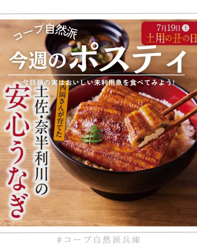 🍅@coop.shizenha.hyogo
ポスティ16号
●表紙と特集●
今回表紙で紹介しているのは、西岡さんが育てた土佐・奈半利川のうなぎ！
鰻は日本人にとってなじみ深く、縄文時代には既に食された形跡が見つかっており、万葉の頃には和歌にも詠まれるほど古くから親しまれてきました。
しかし近年、地球温暖化の影響で海水温が上昇し水産業に大きな影響を与えています。和食文化を支えてきた様々な魚種も変化にさらされているのです。
コープ自然派では、環境と生きものにやさしい食べものづくりをすすめていきます。

▷【ハートキャンペーン延長します🛌】
　➡寝具もオーガニックってあるんです！
　　心地良い寝心地、めぐるで試せます♪
▷【夏土用にはコープ自然派のうなぎ】
　➡安心安全は当たり前、味もバツグンのうなぎで
　　夏を乗り切りましょう！
▷【17号より！万能つゆのビン回収開始♲】
　➡ついにリユースびんの取り組みが始まります。

＊商品案内・ポリ袋・食材セットトレイの回収に
ご協力をお願いします＊
コープ自然派では資源循環と廃棄物の削減のため、
商品案内(カタログ)や容器・包装を回収しています。

 −−−−−−−−−−−−−−−−−−−−−−−−−−−−−−−−−−−−

コープ自然派兵庫
組合員より発信中✈
選ぶもので社会は変わる
選ぶことで未来を変えよう
@coop.shizenha.hyogo

−−−−−−−−−−−−−−−−−−−−−−−−−−−−−−−−−−−−

#ポスティ 16号
#うなぎ好き
#無投薬飼育
#抗生物質不使用
#環境を守る
#生協 #コープ自然派 #コープ自然派兵庫 #コープ自然派のあるくらし #生協宅配 #生産者さんに感謝 #オーガニックな暮らし #無農薬 #遺伝子組み換えでない  #自然を守る #国産オーガニック #ネオニコフリー #エシカルライフ #選ぶ