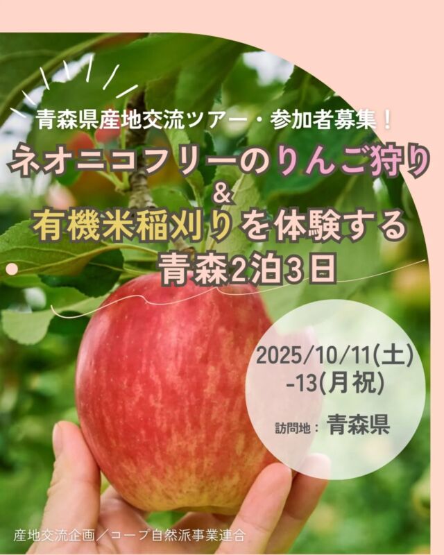 🍅@coop.shizenha.hyogo
✈️青森県産地交流ツアー・参加者募集！
＼ネオニコフリーのりんご狩り＆有機米稲刈りを体験する青森2泊3日／

青森県津軽のネオニコフリーりんご畑に行って栽培の話を聞いて、大切に育てたりんごを収穫しましょう。夜は生産者の皆さんと園地でバーベキューを囲んで語り合います。タクロン(有機米を広げる生産者&ミュージシャン) のプチコンサートもお楽しみに♪2日目は有機の田んぼで稲刈りをして、 有機米のお餅つき、午後は八甲田山の麓で高原野菜の収穫体験。生産者の皆さんとの交流を通して、産地の魅力を体験しましょう。 最終日はねぶた館にも行く盛りだくさんの内容です。

🗓出発日　　2025年10月11日（土）発／2泊3日

📆募集期間　2025年7月21日（月）～9月12日（金）

👨‍👩‍👧‍👦募集人数　30名（※申込多数の場合は抽選）

🎯参加対象　組合員とそのご家族
　　　　　　※4歳以下のお子様はご参加いただけません

💰旅行代金　大人（中学生以上）：68,000円
　　　　　　 子ども（5歳～小学生）：45,000円
　　※2名1室利用
　　※添乗員は同行しませんが、
　　　全行程に生協スタッフが同行します！

📩申し込み　メールまたはFaxにて受付中！
▶▶申込詳細等はハイライト、またはQRコードを
　ご確認ください。

 −−−−−−−−−−−−−−−−−−−−−−−−−−−−−−−−−−−−

コープ自然派兵庫
組合員より発信中✈
選ぶもので社会は変わる
選ぶことで未来を変えよう
@coop.shizenha.hyogo

−−−−−−−−−−−−−−−−−−−−−−−−−−−−−−−−−−−−

#りんご収穫
#ネオニコフリー
#りんご農家
#生産者さんと繋がりたい
#稲刈り
#生協 #コープ自然派 #コープ自然派兵庫 #コープ自然派のあるくらし #生協宅配 #生産者さんに感謝 #オーガニックな暮らし #無農薬 #遺伝子組み換えでない  #自然を守る #国産オーガニック #エシカルライフ #選ぶ