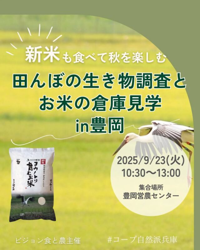 🍅@coop.shizenha.hyogo 
🍚子どもと・試食あり
＼新米も食べて秋を楽しむ♪
 田んぼの生き物調査とお米の倉庫見学in豊岡／

とき：2025年9月23日（火）10:30～13:00
ところ：豊岡市JAたじま集合場所豊岡営農センター
　　　（研修センター）JAたじま
　
▶講　師：全農ビジネスサポート　山崎俊彦さん
▶参加費：組合員500円、組合員子ども400円（3才～）
　　　　　一般700円、一般子ども600円（3才～）
▶定　 員：50名
▶託　 児：なし　お子さま会場同伴可
▶持ち物：長靴、帽子、虫取り網、飲み物、
　　　汚れてもいい服装や着替えなど。My食器
　　（箸、お茶碗、汁椀、お皿など）
▶イベントID:18250328
▶申込：電話またはメール
　　✉️event18@shizenha.co.jp

▷申込〆切：9/14（日）

 −−−−−−−−−−−−−−−−−−−−−−−−−−−−−−−−−−−−

コープ自然派兵庫
組合員より発信中✈
選ぶもので社会は変わる
選ぶことで未来を変えよう
@coop.shizenha.hyogo

−−−−−−−−−−−−−−−−−−−−−−−−−−−−−−−−−−−−

#生き物調査
#コウノトリ育むお米
#秋の田んぼ
#生き物探し
#循環型農業
#生協 #コープ自然派 #コープ自然派兵庫 #コープ自然派のあるくらし #生協宅配 #生産者さんに感謝 #オーガニックな暮らし #無農薬 #遺伝子組み換えでない  #自然を守る #国産オーガニック #ネオニコフリー #エシカルライフ #選ぶ