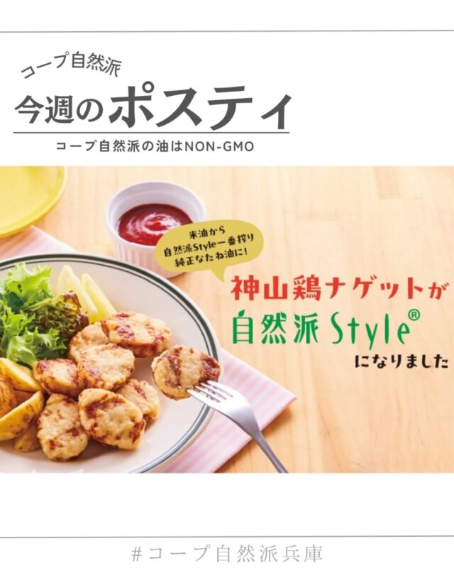 🍅@coop.shizenha.hyogo
ポスティ43号
🐓＼神山鶏ナゲットが自然派Styleになりました／

表紙で紹介するのは、今回リニューアルした「自然派Style神山鶏ナゲット」！
揚げ油を米油からNON-GMOの「自然派Style一番搾り純正なたね油」に変更し、自然派Styleの仲間入りをしました。
毎日のくらしに欠かせない食用油ですが、原料に遺伝子組み換え作物が使われていても表示義務はありません。
油の原料となる作物の多くは輸入に頼り、そのほとんどが遺伝子組み換え作物であるにもかかわらず、一般には表示されないまま流通しています。
コープ自然派は設立以来、遺伝子操作食品に反対してきました。
これからも全国の生協や団体と連携し、安全な食べものを守る取組を続けていきます。

▷【冬の手しごと　みそづくり】
➡ 1/19より投稿開始📷️我が家のみそづくりをテーマに
　今年もフォトコンテスト開催します！

▷【🍶意外な日本酒　マリアージュ特集】
➡実は、日本酒ってもっと自由でいいんです
　軽やかで料理との相性も抜群な、
　“今の食卓に寄り添う”一本を紹介します

▷【2月3日は節分！恵方巻2026】
➡今年の恵方は南南東！
　解凍するだけ？おうちで作っちゃう？
　節分にまつわるレシピ&材料も見てみよう

＊商品案内・ポリ袋・食材セットトレイの回収に
ご協力をお願いします＊
コープ自然派では資源循環と廃棄物の削減のため、
商品案内(カタログ)や容器・包装を回収しています。

 −−−−−−−−−−−−−−−−−−−−−−−−−−−−−−−−−−−−

コープ自然派兵庫
組合員より発信中✈
選ぶもので社会は変わる
選ぶことで未来を変えよう
@coop.shizenha.hyogo

−−−−−−−−−−−−−−−−−−−−−−−−−−−−−−−−−−−−

#ポスティ 43号
#nongmo
#圧搾一番搾り
#ナゲット
#自然派Style
#生協 #コープ自然派 #コープ自然派兵庫 #コープ自然派のあるくらし #生協宅配 #生産者さんに感謝 #オーガニックな暮らし #無農薬 #遺伝子組み換えでない  #自然を守る #国産オーガニック #ネオニコフリー #エシカルライフ #選ぶ