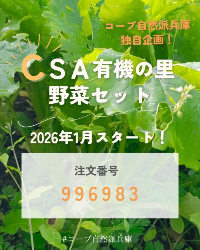 🍅@coop.shizenha.hyogo 
🫑＼コープ自然派兵庫独自企画！CSA有機の里野菜セット／
2026年1月からはじまる、CSA有機の里野菜セット。

CSA(地域支援型農業)は 
Community Supported Agiculture」の略で、 
生産者と食べる人が支え合いながら、
いのちをはぐくむ仕組みです。

「登録/CSA有機里 野菜セット(兵庫)」を
年間登録すると毎月第2週目に、 
「市島の有機の野菜セット」が届きます。

〈 年間登録特典 〉
季節ごとにわくわくのイベントをご案内します。
―第1弾 ―
募集を兼ねて野菜セットを使った調理体験(12月8日)
―第2弾 ―
登録者だけの生産者との交流会
(日程未定)
―第3弾 ―
市島の畑を訪ねるバスツアーへ
(日程未定)
10ポイントのプレゼントもあり！

▶注文番号　996983
  1,200円(税込1,296円)

👉️価格はカタログの「有機の里野菜セット」と同じ1,200円(税込1,296円)
👉️年間登録は、42号(お届け1/12~16)から開始です!
👉️登録すると、毎月(第2週)に市島の野菜セットが届きます。注文をお休み、 キャンセルする場合は、「お休み」「取り消し」の手続きで変更可能です。

旬の野菜と出会い、 
人とつながる時間を一緒に楽しみましょう♪

−−−−−−−−−−−−−−−−−−−−−−−−−−−−−−−−−−−−

コープ自然派兵庫
組合員より発信中✈
選ぶもので社会は変わる
選ぶことで未来を変えよう
@coop.shizenha.hyogo

−−−−−−−−−−−−−−−−−−−−−−−−−−−−−−−−−−−−

#CSA
#野菜ボックス
#年間登録
#有機野菜たっぷり
#生産者さんに感謝
#生協 #コープ自然派 #コープ自然派兵庫 #コープ自然派のあるくらし #生協宅配 #無農薬 #遺伝子組み換えでない  #自然を守る #国産オーガニック #エシカルライフ #選ぶ