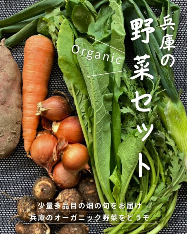 🍅@coop.shizenha.hyogo
🥕＼兵庫の野菜セット／

兵庫県産の野菜セットは2種類。
農薬・化学肥料不使用で、しかもオーガニック！
土の力と農家の愛情たっぷりで、素材本来の力強い旨みが楽しめます。

今回は季節の恵みを詰め込んだ、丹波市市島の『有機の里野菜セット』を使ったレシピを紹介。
3名の農家さんのうちいずれかが届きます。

・橋本有機農園　橋本さん
・めぐり農場　末利さん
・井上農園　井上さん

月イチで有機の里野菜セットが届く、
『CSA野菜セット』企画も始まっています。
生産者のお話しを聞いたり、
野菜作りの現場にも足を運ぶ企画付き！

旬の畑で採れた野菜セット、ぜひ試してくださいね✨

 −−−−−−−−−−−−−−−−−−−−−−−−−−−−−−−−−−−−

コープ自然派兵庫
組合員より発信中✈
選ぶもので社会は変わる
選ぶことで未来を変えよう

@coop.shizenha.hyogo

−−−−−−−−−−−−−−−−−−−−−−−−−−−−−−−−−−−−

#丹波市
#畑のめぐみ
#オーガニック野菜セット
#生産者と繋がる
#生協 #コープ自然派 #コープ自然派兵庫 #コープ自然派のあるくらし #生協宅配 #生産者さんに感謝 #オーガニックな暮らし #無農薬 #遺伝子組み換えでない  #自然を守る #国産オーガニック #ネオニコフリー #エシカルライフ #選ぶ