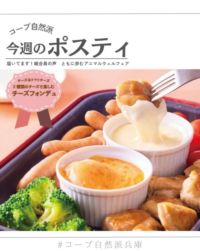 🍅@coop.shizenha.hyogo
🐖ポスティ46号

コープ自然派が生産者とともに取り組んできた「アニマルウェルフェア」。
産直・神山鶏では、鶏舎の改善や十分な空間の確保により、鶏が本来の行動をとれる環境を整え、無投薬で飼育。さらに、輸入に頼らないえさとして国産の飼料米を活用する取組も進めています。
生きもののしあわせ、生産者の持続可能な営み、そして私たちの安心。それらをつなぐのが、コープ自然派のアニマルウェルフェアです。
そのほかの生産者の取組は、特集ページで詳しくご紹介しています。ぜひご覧ください。

▷【みそづくりフォトコンテスト📷️】
➡ 1/19より投稿開始！我が家のみそづくりをテーマに
　今年もフォトコンテスト開催します

▷【生産者さんへに手紙を書こう2026】
➡食べる人と作る人をつなぐプロジェクト！
　あなたの推しの生産者は？

▷【「ぷらす便」サービス🚚】
➡通常便のお届け日にもう1日プラス！
　週2回商品をお届けするサービス、知っていますか？
https://www.shizenha.ne.jp/shizenha_online/Feature/PromotionArticle/3762

＊商品案内・ポリ袋・食材セットトレイの回収に
ご協力をお願いします＊
コープ自然派では資源循環と廃棄物の削減のため、
商品案内(カタログ)や容器・包装を回収しています。

 −−−−−−−−−−−−−−−−−−−−−−−−−−−−−−−−−−−−

コープ自然派兵庫
組合員より発信中✈
選ぶもので社会は変わる
選ぶことで未来を変えよう
@coop.shizenha.hyogo

−−−−−−−−−−−−−−−−−−−−−−−−−−−−−−−−−−−−

#ポスティ 46号
#アニマルウェルフェア
#生き物の幸せ
#持続可能な暮らし
#安心安全な食べ物
生協 コープ自然派 コープ自然派兵庫 コープ自然派のあるくらし 生協宅配 生産者さんに感謝 オーガニックな暮らし 無農薬 遺伝子組み換えでない  自然を守る 国産オーガニック ネオニコフリー エシカルライフ 選ぶ