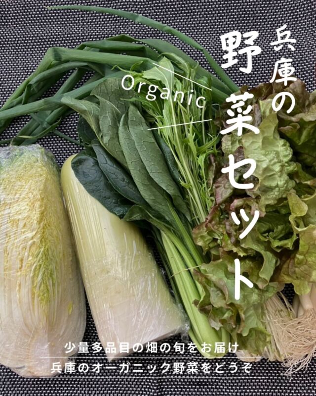 🍅@coop.shizenha.hyogo
🥕＼兵庫の野菜セット／

今回は、神戸市西区・明石市の圃場で、
年間約43種類の野菜を有機JAS基準で栽培している
ココハウス農園さん🌱

今は玉ねぎの追肥の大切なタイミング。
9月に種まき、11月に定植し、
春の収穫に向けてここからが正念場だそうです。
日照や天候に左右されながら、
おいしい玉ねぎを育てておられるそうですよ🧅

旬の畑で採れた野菜セット、ぜひ試してくださいね✨

 −−−−−−−−−−−−−−−−−−−−−−−−−−−−−−−−−−−−

コープ自然派兵庫
組合員より発信中✈
選ぶもので社会は変わる
選ぶことで未来を変えよう

@coop.shizenha.hyogo

−−−−−−−−−−−−−−−−−−−−−−−−−−−−−−−−−−−−

#オーガニック野菜セット
#生産者さんに感謝
#生協
#コープ自然派 
#コープ自然派兵庫